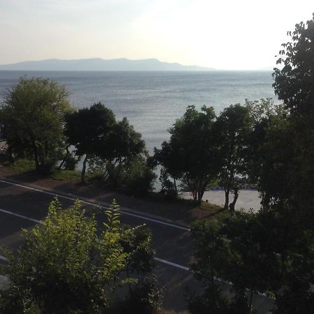 Apartment Marina Senj เซนญ์ ภายนอก รูปภาพ